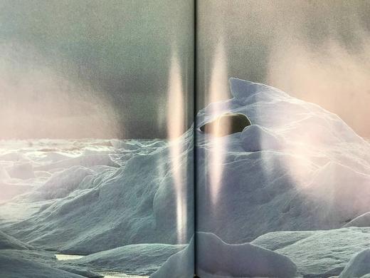 奥杜邦学会野生动物之书 181幅彩色插图 精装大16开 商品图9