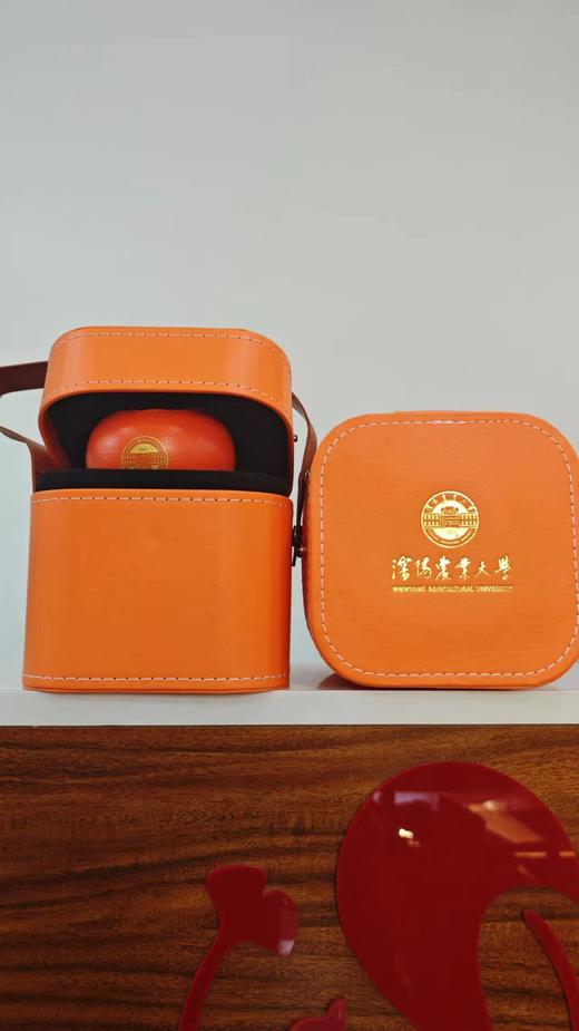 沈农好柿发生柿柿如意茶具套装杯子 商品图5