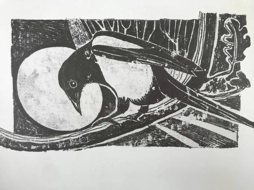 泰德·休斯《真相是什么？：给年轻人的农家寓言》 近百幅插图 精装16开 商品图5