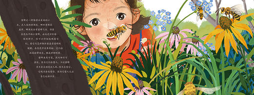 虫虫飞   2024年百班千人暑期书目学前大班|祖庆说名师推荐正版课外阅读现货速发 商品图3