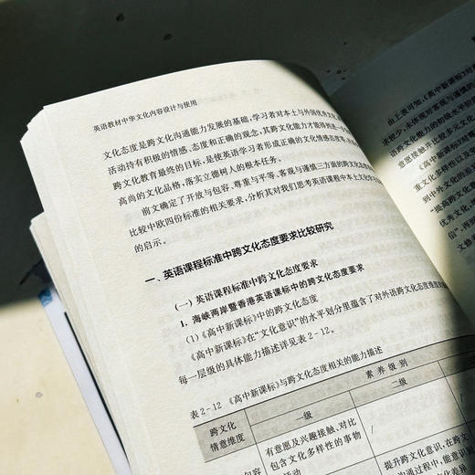 英语教材中华文化内容设计与使用 商品图1
