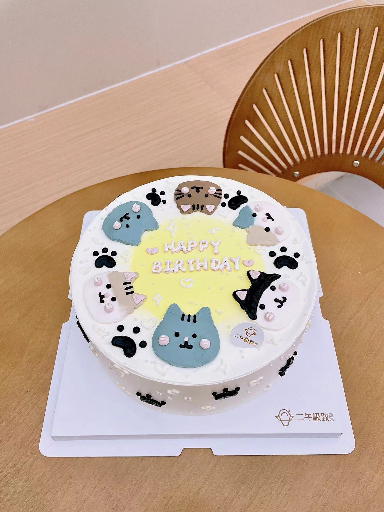 手绘定制-好多猫猫