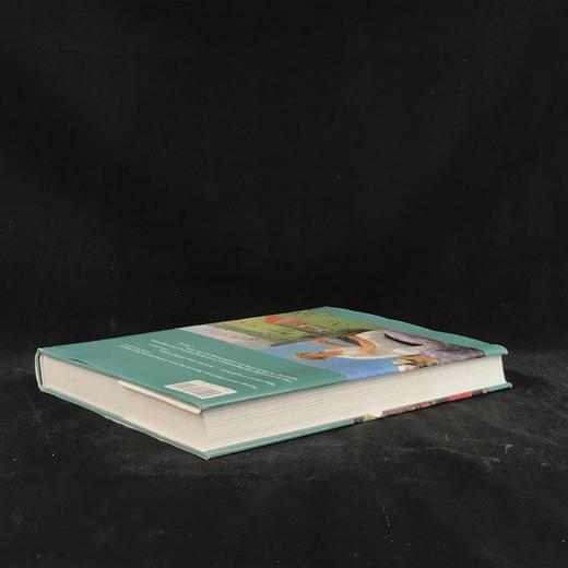 追忆印象派 117幅彩色116幅黑白插图 精装8开 商品图2