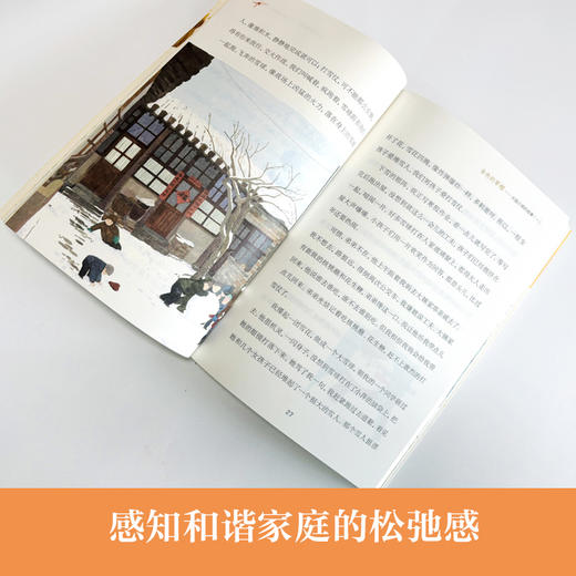 金色的草帽   2024年百班千人暑期书目2年级|祖庆说名师推荐正版课外阅读现货速发 商品图3