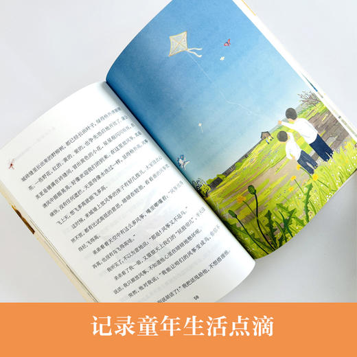 金色的草帽   2024年百班千人暑期书目2年级|祖庆说名师推荐正版课外阅读现货速发 商品图2