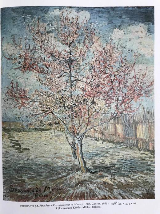 追忆梵高 125幅彩色103幅黑白插图 精装8开 商品图13