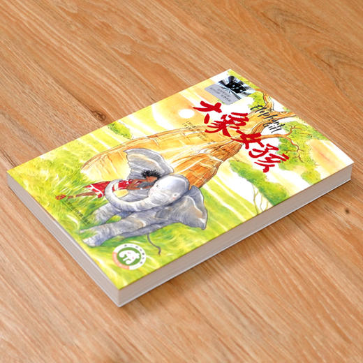 大象女孩   2024年百班千人暑期书目6年级|祖庆说名师推荐正版课外阅读现货速发 商品图2