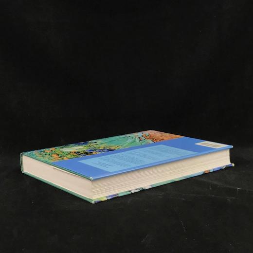 追忆梵高 125幅彩色103幅黑白插图 精装8开 商品图2