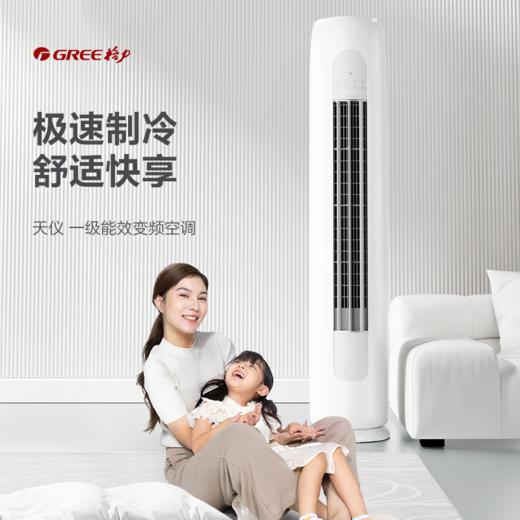 格力·天仪 变频冷暖2匹新一级能效柜机空调 KFR-50LW/(50504)FNhAa-B1（皓雪白） 商品图1