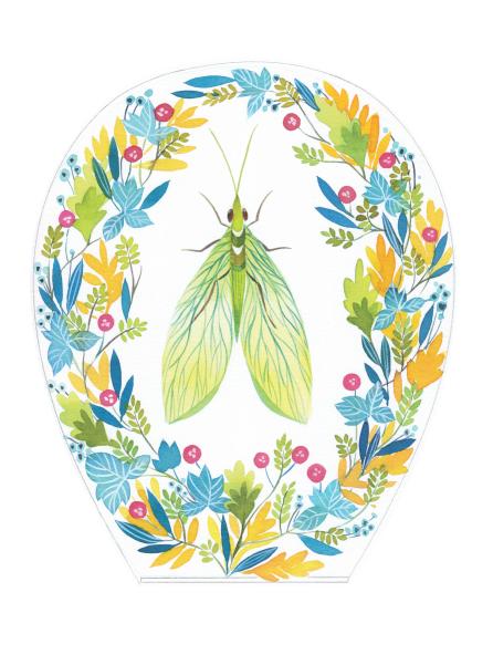 《自然笔记：昆虫印象》 商品图3