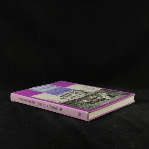 餐厅里的死亡与其他维多利亚文化故事 约百幅插图 精装16开 商品图1