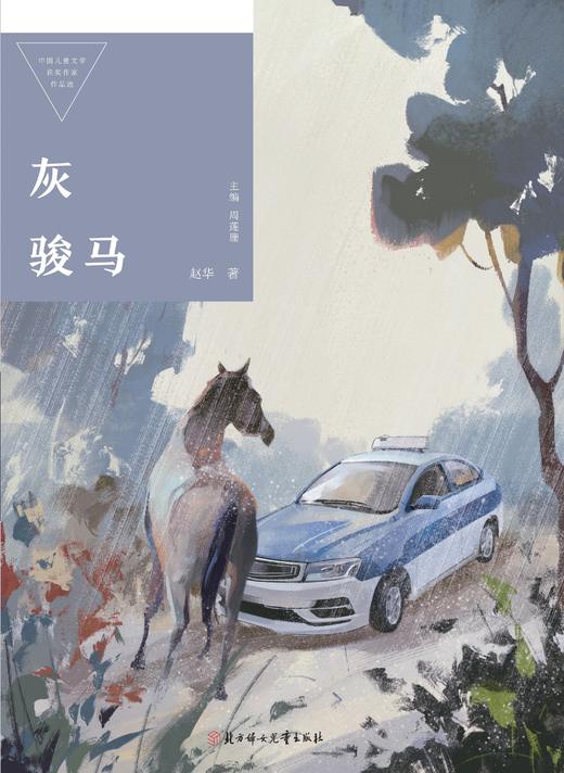 灰骏马   2024年百班千人暑期书目9年级|祖庆说名师推荐正版课外阅读现货速发 商品图3