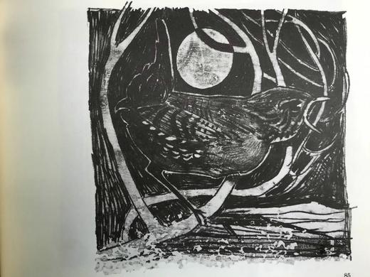 泰德·休斯《真相是什么？：给年轻人的农家寓言》 近百幅插图 精装16开 商品图7