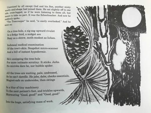 泰德·休斯《真相是什么？：给年轻人的农家寓言》 近百幅插图 精装16开 商品图13