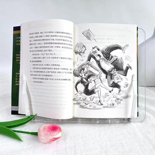 罗伯特的三次报复行动   2024年百班千人暑期书目3年级|祖庆说名师推荐正版课外阅读现货速发 商品图3