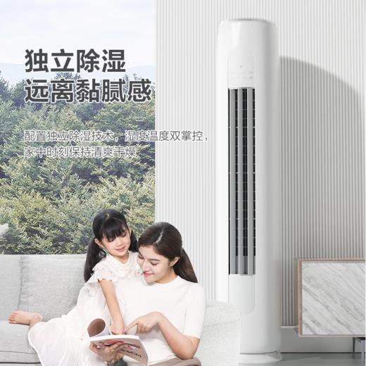 格力·天仪 变频冷暖2匹新一级能效柜机空调 KFR-50LW/(50504)FNhAa-B1（皓雪白） 商品图5