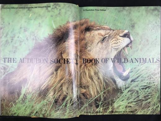 奥杜邦学会野生动物之书 181幅彩色插图 精装大16开 商品图3