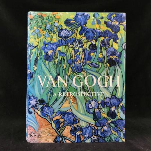 追忆梵高 125幅彩色103幅黑白插图 精装8开 商品图0