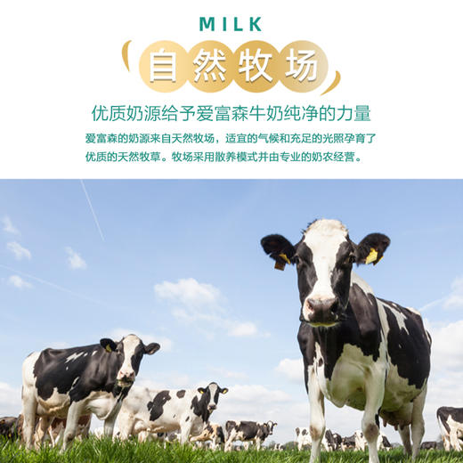 德国进口爱富森全脂I脱脂牛奶1L 商品图3