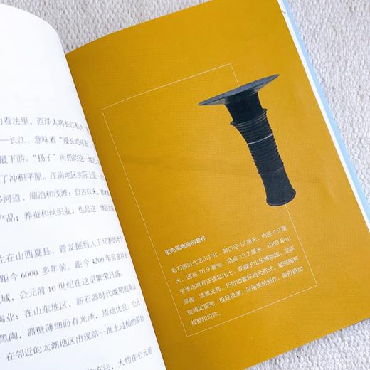 长江小史   2024年百班千人暑期书目9年级|祖庆说名师推荐正版课外阅读现货速发 商品图3