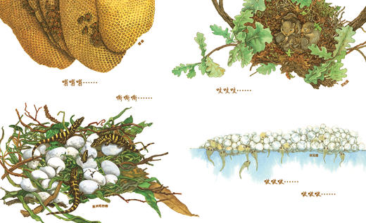 巢，如此喧闹   2024年百班千人暑期书目2年级|祖庆说名师推荐正版课外阅读现货速发 商品图3