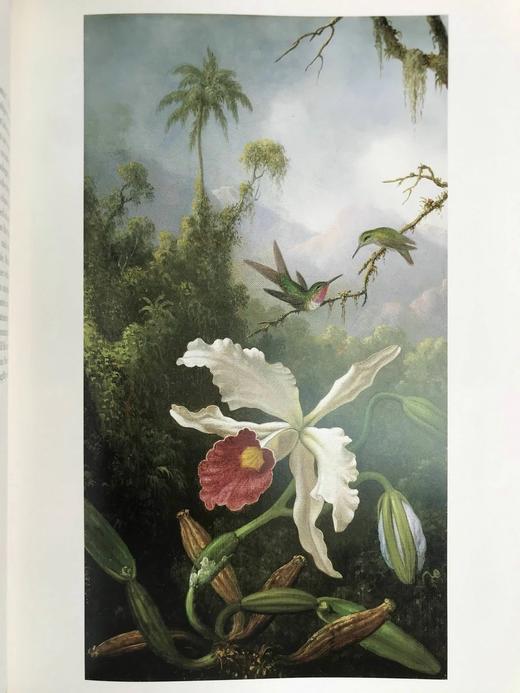 美国收藏：亚蒙·卡特博物馆的作品 126幅彩色26幅黑白插图 精装大16开 商品图12