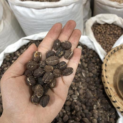 砂仁  去壳  净砂仁干净 商品图3