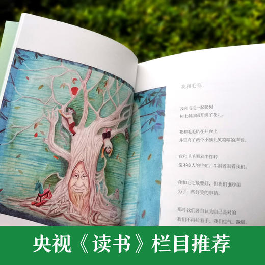 我和毛毛   2024年百班千人暑期书目5年级|祖庆说名师推荐正版课外阅读现货速发 商品图3