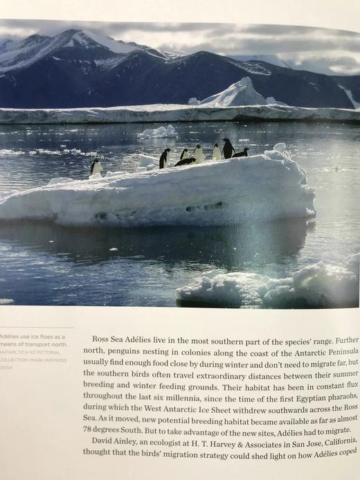 冰雪的秘密：南极洲对气候、宇宙与生命极限的启示 150余幅彩色插图 精装16开 商品图6