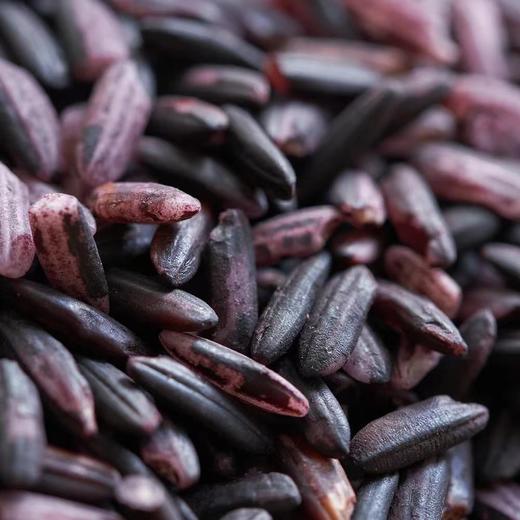 【墨江紫米】源自中国紫米之乡  富含花青素 传统农法种植  控糖 香糯养脾胃 低脂粗粮 4斤装 （运输漏气属正常现象不影响食用 介意慎拍） 商品图4