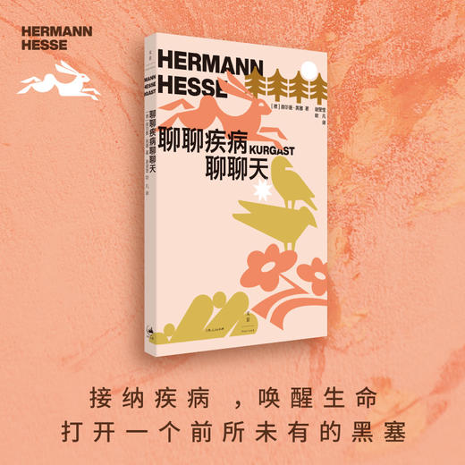 聊聊疾病聊聊天   2024年百班千人暑期书目8年级|祖庆说名师推荐正版课外阅读现货速发 商品图1