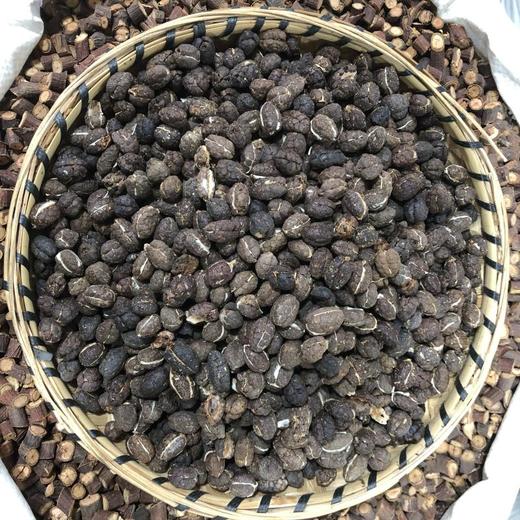 砂仁  去壳  净砂仁干净 商品图1