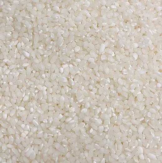 2024年大米 生态大米｜ 山泉水灌溉 | 合作生产 | 基地直发包邮 * Eco-rice 商品图2