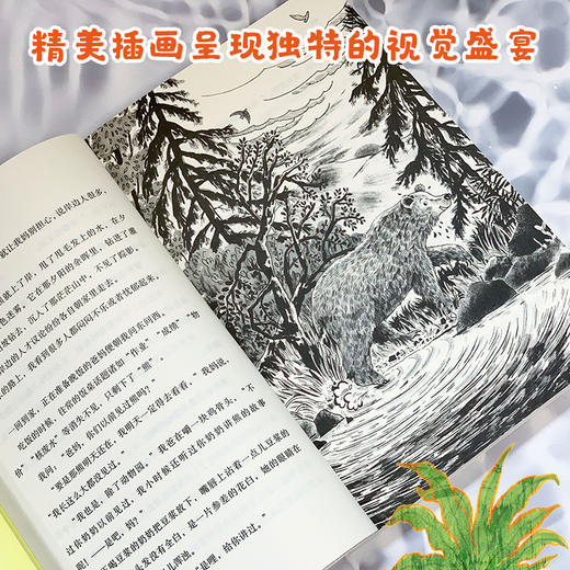 游泳的熊   2024年百班千人暑期书目6年级|祖庆说名师推荐正版课外阅读现货速发 商品图2