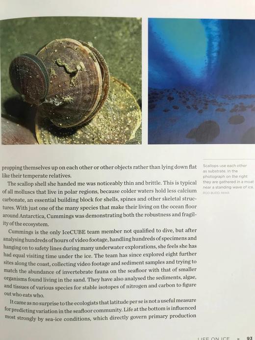 冰雪的秘密：南极洲对气候、宇宙与生命极限的启示 150余幅彩色插图 精装16开 商品图12