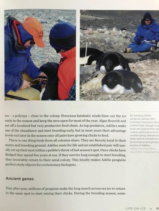 冰雪的秘密：南极洲对气候、宇宙与生命极限的启示 150余幅彩色插图 精装16开 商品图7