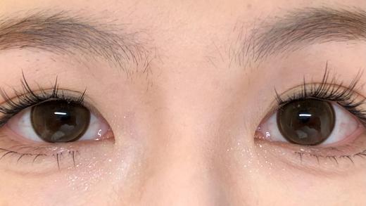 jelly doll日抛美瞳 山茶花 14.5mm 商品图2