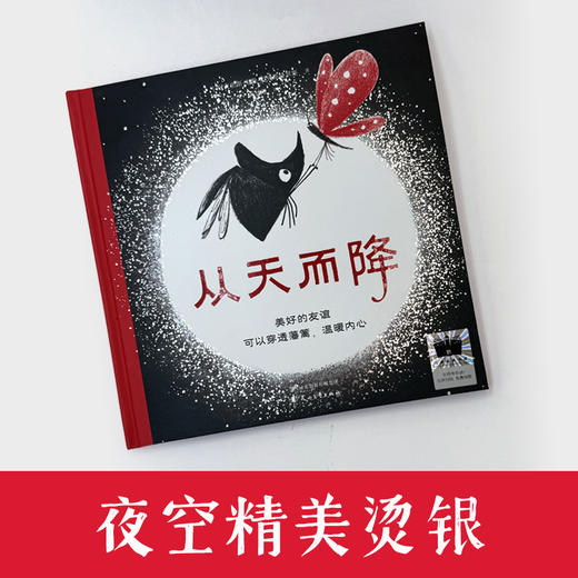 从天而降    2024年百班千人暑期书目1年级|祖庆说名师推荐正版课外阅读现货速发 商品图2