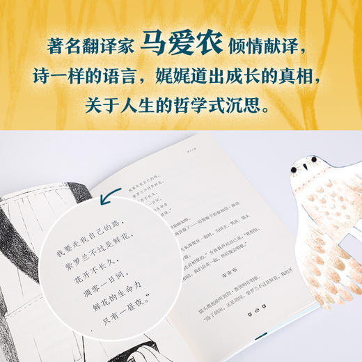 老船长的行李箱   2024年百班千人暑期书目3年级|祖庆说名师推荐正版课外阅读现货速发 商品图1