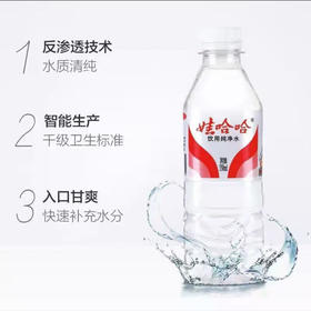 娃哈哈饮用纯净水350ml（仅供济南市区）