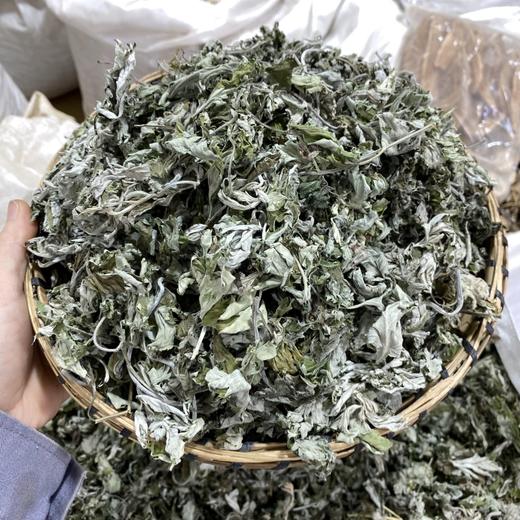 艾叶   艾草 商品图0