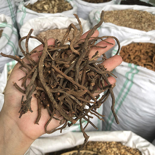 小红参 云南地方草药 云南野生小红参 非传统红参 商品图1