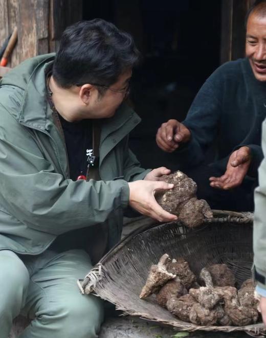 【丽江野茯苓】高海拔自然生长  肉质密实  粘性强  500克/份 商品图0