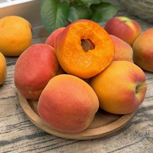 崂山蜜杏 商品图0