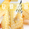 【纱衣拇指糯玉米】绿色食品认证 西双版纳 软糯皮薄 香味浓郁 颗粒饱满 代脂代餐 2种规格任选 商品缩略图3