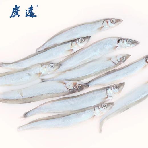 D广远多春鱼 商品图2