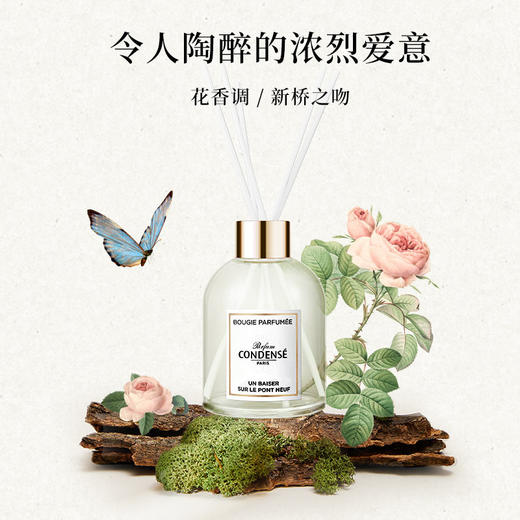 珂蒂丝法国寻香系列室内拓香香薰摆件 商品图2