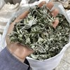 艾叶   艾草 商品缩略图2