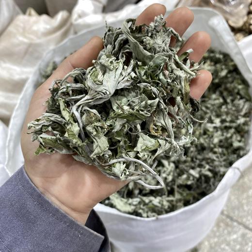 艾叶   艾草 商品图2