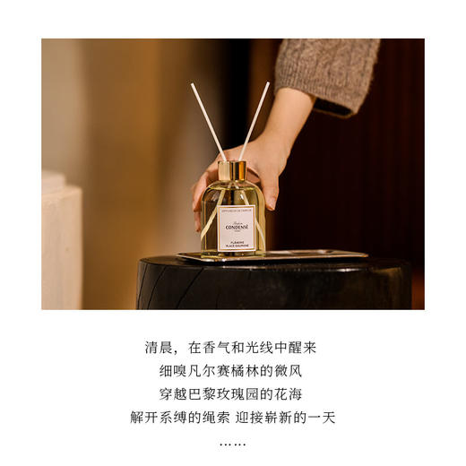 珂蒂丝法国寻香系列室内拓香香薰摆件 商品图1